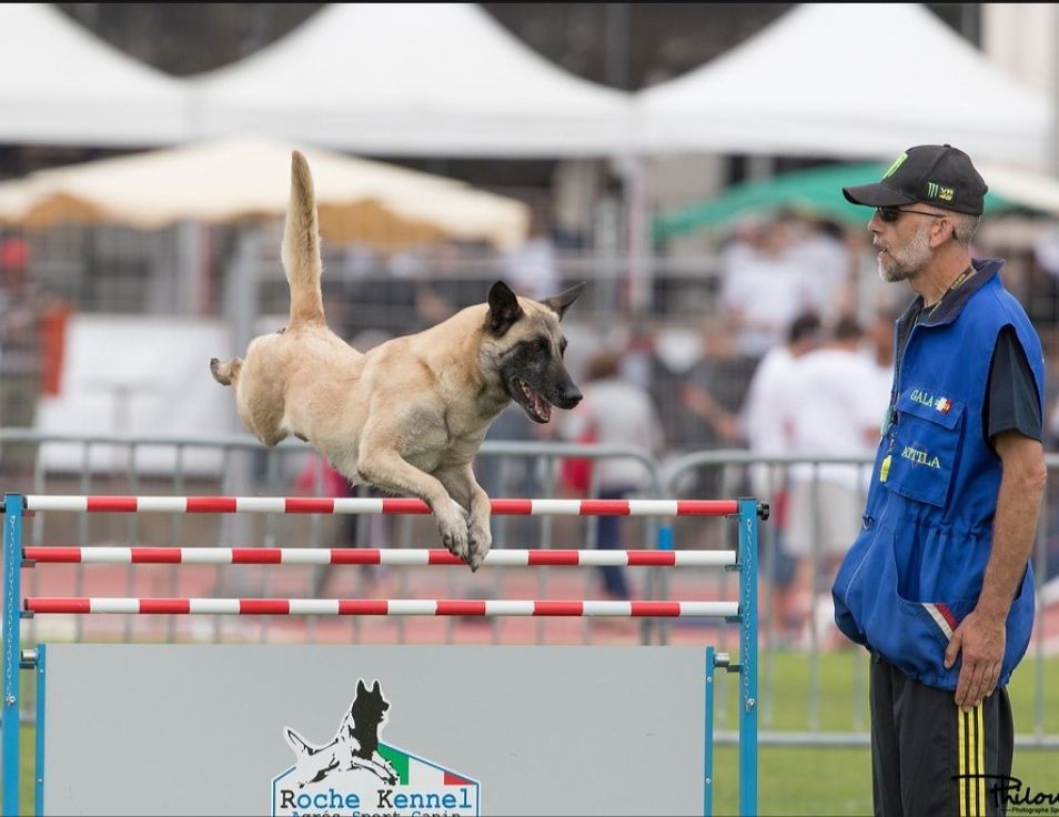 Gala Des Gargouilles De Gergovie