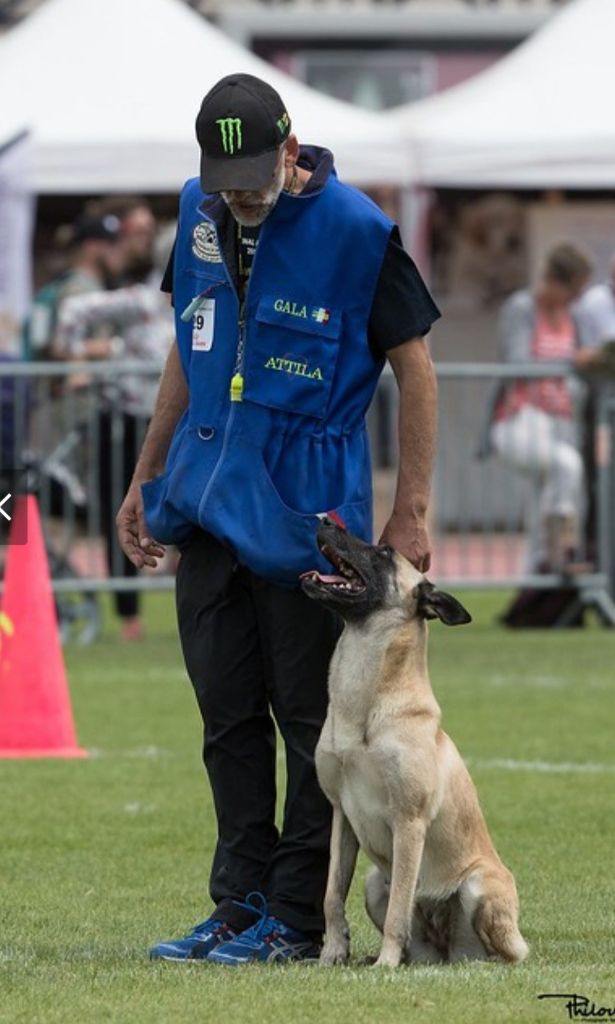 Gala Des Gargouilles De Gergovie